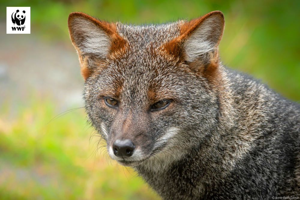 Imagen de HOLA EDICIÓN